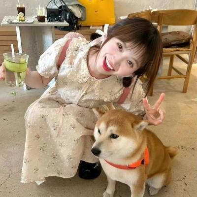 蒲公英的奇幻漂流