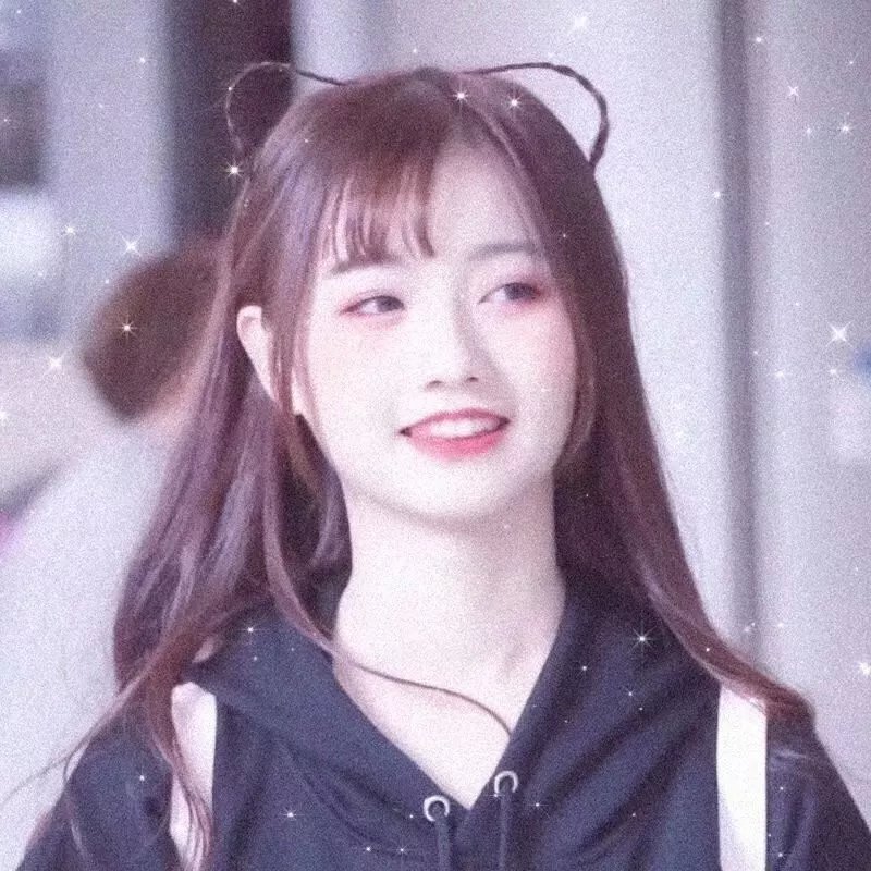 森林里的熊先生